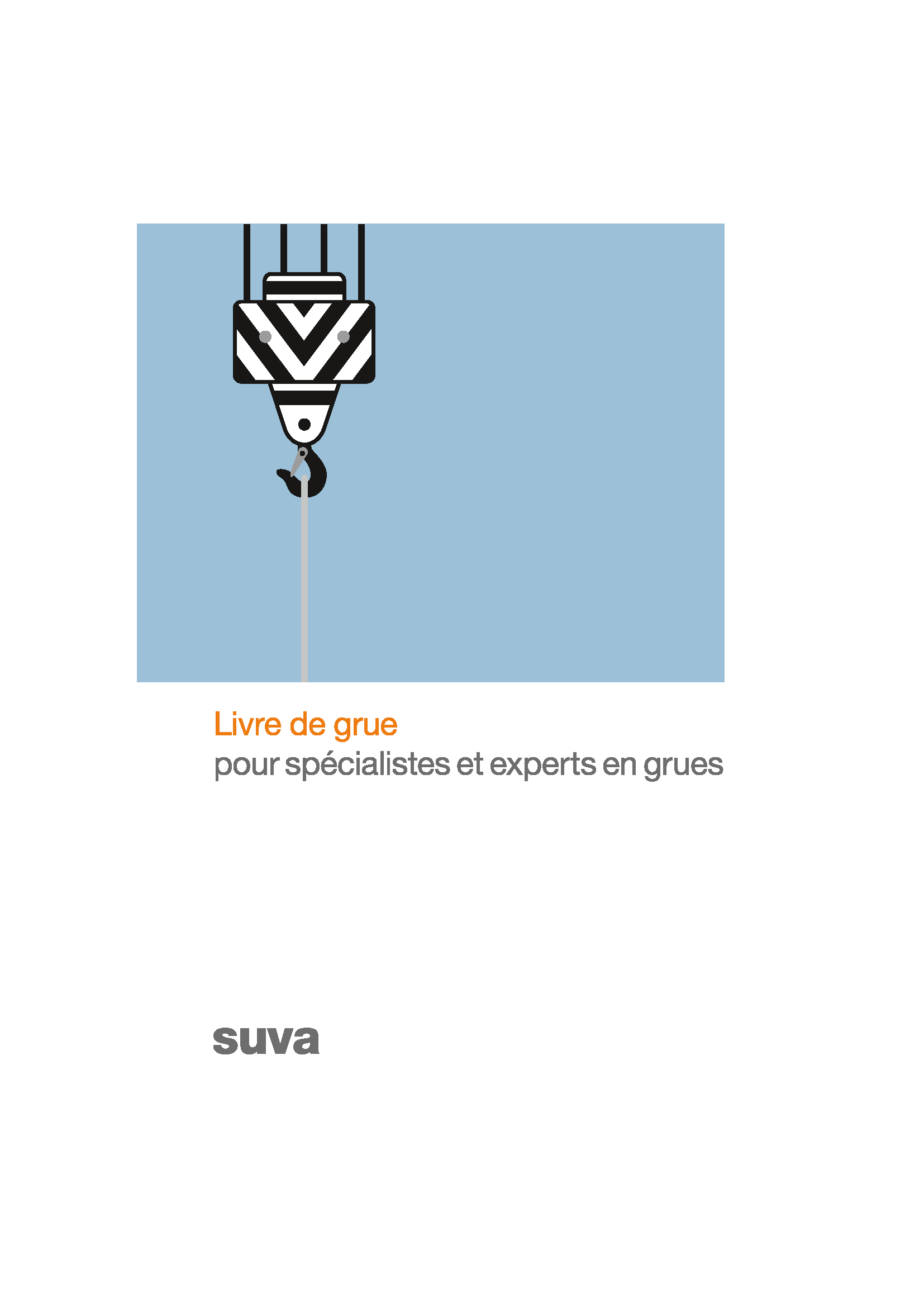 Inspection grue SUVA 4